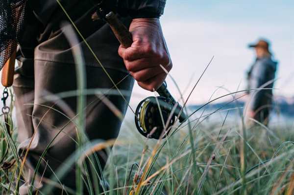 Must-Have Hunting Weapons for Bird Shooting